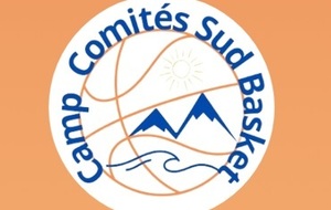 CAMP COMITES SUD BASKET