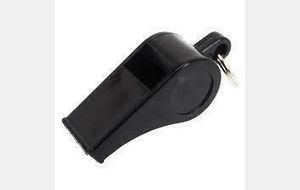 JOURNEE DE FORMATION DES ARBITRES DEPARTEMENTAUX